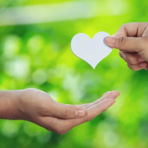 Joy Of Giving